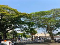 Salão Comercial para Locação em Santo André - 5