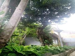 Terreno para Venda em Santo André - 4